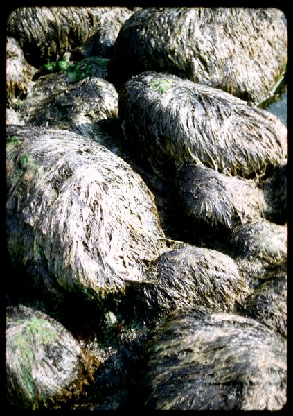 rocks-01.jpg