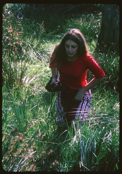 sally-02.jpg