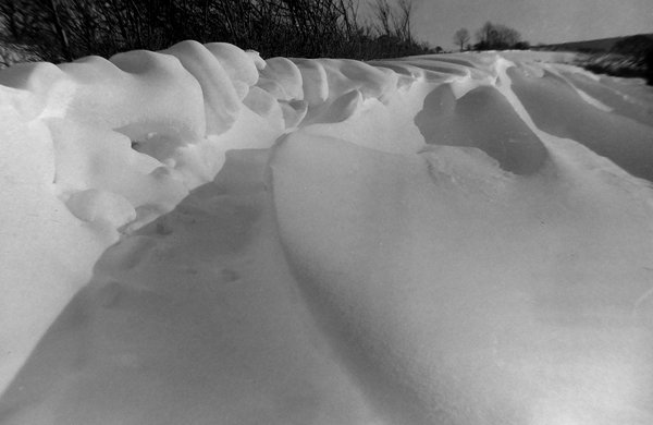 dscn3844.jpg