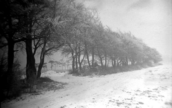 dscn2193.jpg