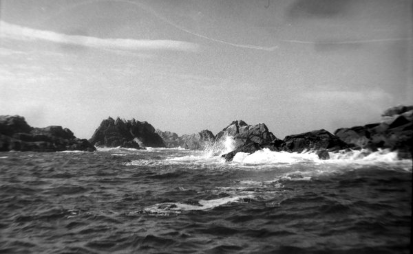 dscn2290.jpg