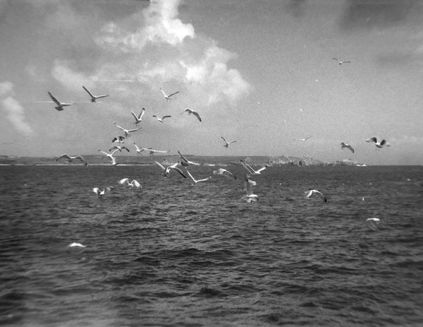 dscn2293.jpg