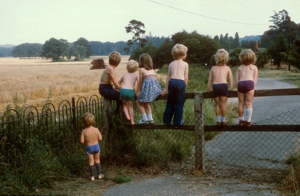 harvest_b.jpg