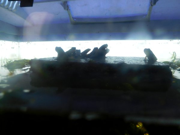 dscn7510.jpg