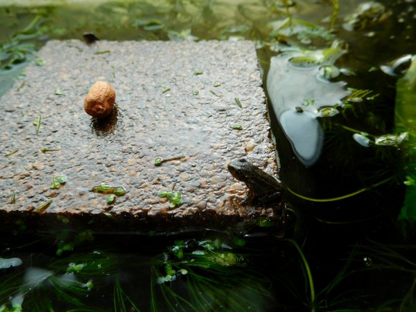dscn7516.jpg